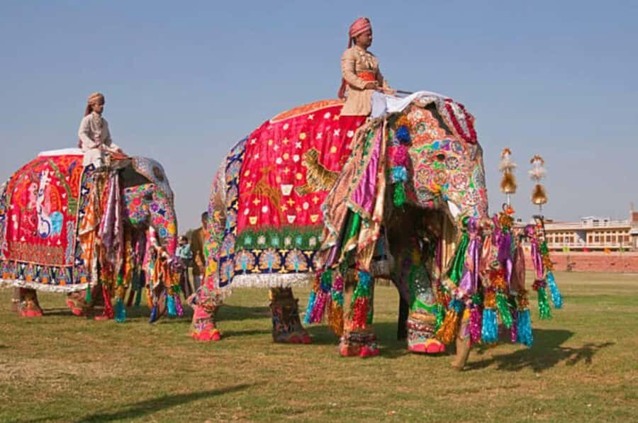 Delhi: Jaipur Private Day Trip with Guide & Lunch - Deep Dive into the Experience
