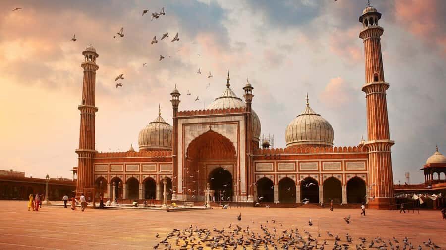 Delhi: Old and New Delhi Private Full or Half-Day Tour - What to Expect on the Day