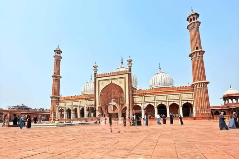 Delhi: Old & New Delhi Private Guided Full or Half-Day Tour - The Practicalities: What You Should Know