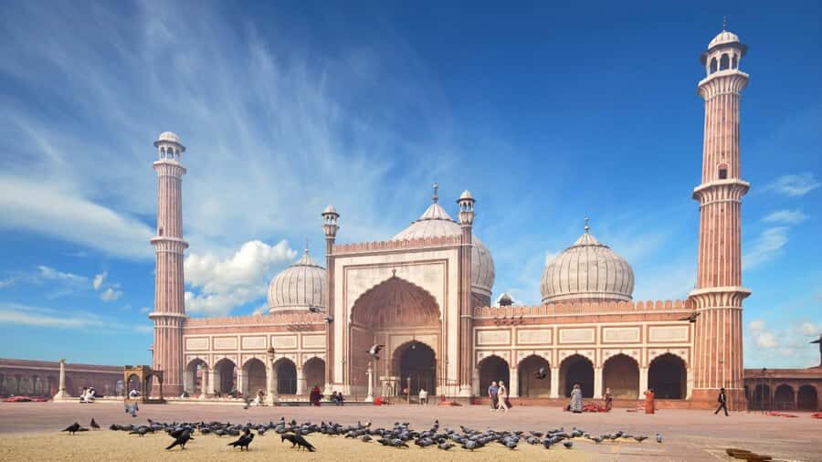 Delhi: Private 8-Hour Tour of New Delhi - Practical Details That Make or Break Your Day