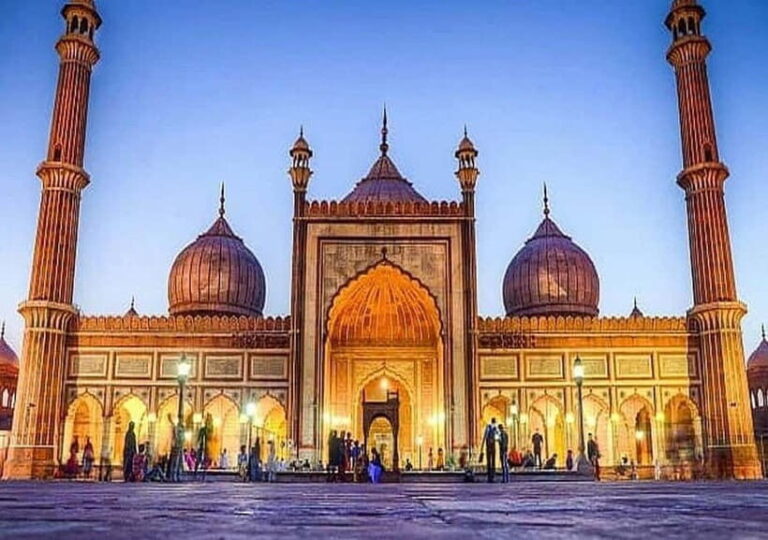 Delhi: Private Old and New Delhi Tour with Pickup - Who Is This Tour Best For?