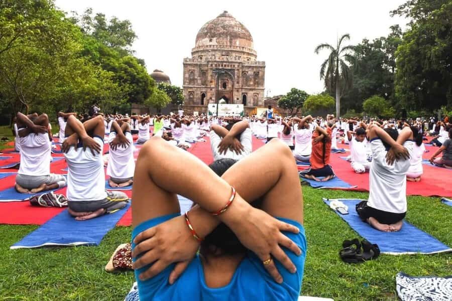 Delhi: Reconnect with Nature & Yoga Tour - What to Expect from the Tour