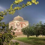 Delhi: Sunder Nursery Heritage Walk & Janpath Market Tour - Who Is This Tour Best For?