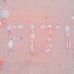 Denarau Hotels/ Resorts to Natadola Beach Round Trip - Why Travelers Favor This Service