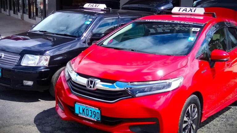 Denarau Island to Natadola Beach Round Trip - Why We Love This Tour