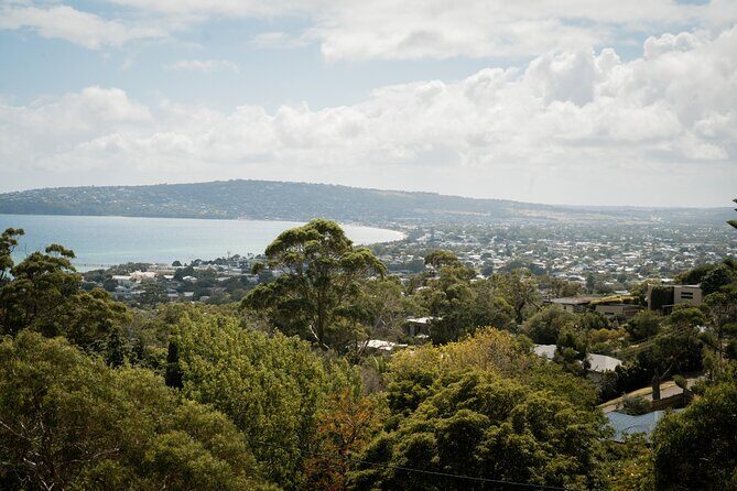 Depart Peninsula: Mornington Wine & Hot Springs Tour with Lunch - Who Would Love This Tour?