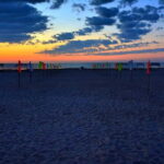 Desert Adventure from Samarkand: Yurt Camp & Aydarkul Escape - What the Tour Includes and What to Keep in Mind