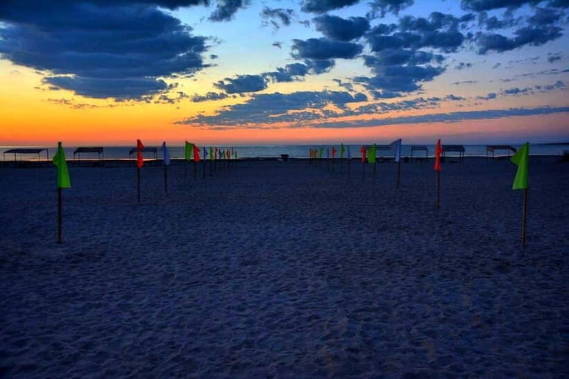 Desert Adventure from Samarkand: Yurt Camp & Aydarkul Escape - What the Tour Includes and What to Keep in Mind