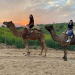 Desert Camel Safari Day Trip From Jodhpur - What’s Included and What’s Not