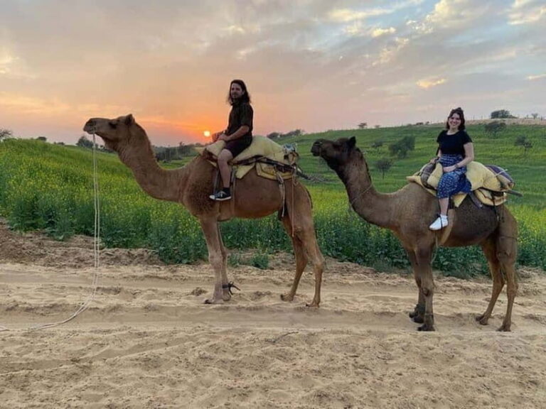 Desert Camel Safari Day Trip From Jodhpur - What’s Included and What’s Not