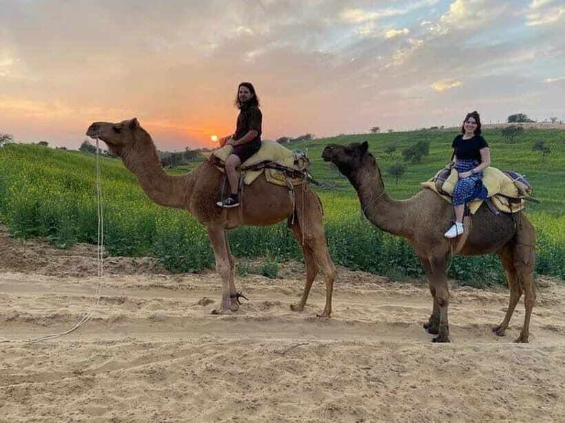 Desert Camel Safari Day Trip From Jodhpur - What’s Included and What’s Not