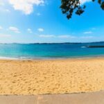 Devonport Auckland Self Guided Walking Tour with an APP - In-Depth Breakdown of the Itinerary