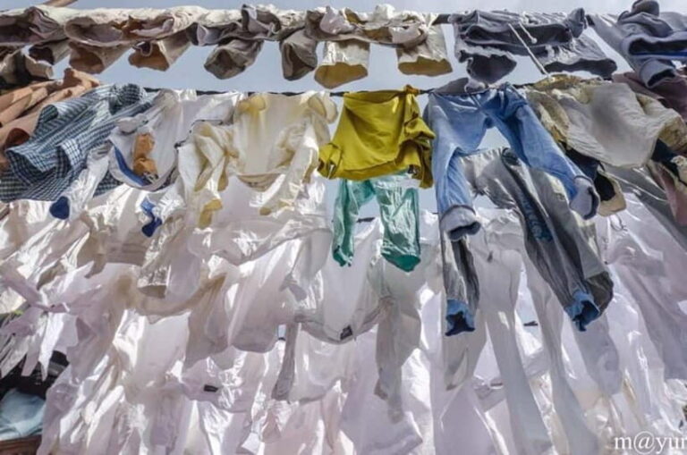 Dhobi Ghat Laundry and Dharavi Slum Tour with Local Train - What Makes This Tour Special?