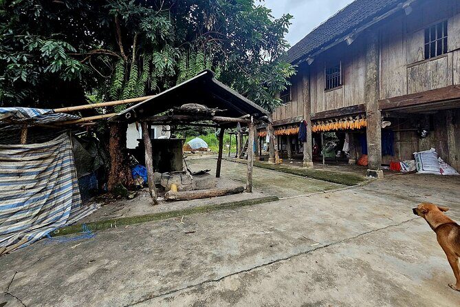 Dien Bien Cuisine and Culture Spectacle - Practical Details and Tips