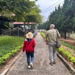 Dien Bien Phu Victory History Tour 1 Day - Transportation and Group Dynamics