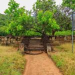 Dimbulagala Eco Trekking and Village Tour From Polonnaruwa - The Village Experience