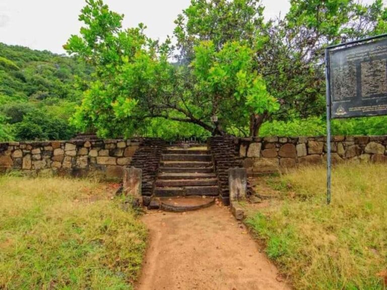 Dimbulagala Eco Trekking and Village Tour From Polonnaruwa - The Village Experience