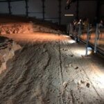 Dinosaur Stampede 3/4 Day Tour from Winton - Practical Details and Tips