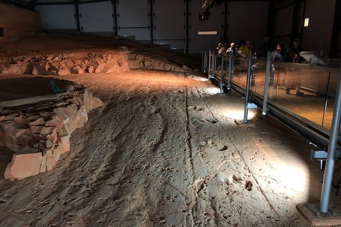 Dinosaur Stampede 3/4 Day Tour from Winton - Practical Details and Tips