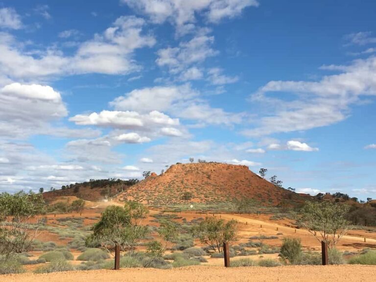 Dinosaur Stampede and Carisbrooke Station Full Day Tour - What to Expect on This Day Out