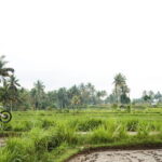 Dirt Bike Adventure at Kuta Lombok - Authentic Experiences from Reviews