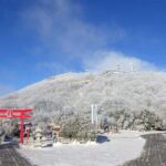 Discover Beppu and Yufuin Nature and Onsen Trip - Transport and Practical Details