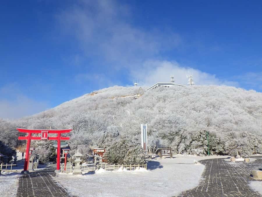 Discover Beppu and Yufuin Nature and Onsen Trip - Transport and Practical Details