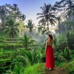 Discover Best of Ubud Day Tour with Private Guide - Final Thoughts: Is It Worth It?
