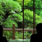 Discover Culture & History in Tokyo Shibamata Tour 3.5 Hrs - Practicalities and Tips