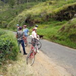Discover Ella by Bicycle from Ella - Who Should Consider This Tour?