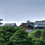 Discover Himeji, Kobe and Nara from Osaka - Potential Drawbacks to Consider
