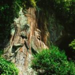 Discover Inner Peace at Fukoji Temple: Meditation Experience - What Makes This Tour Special?