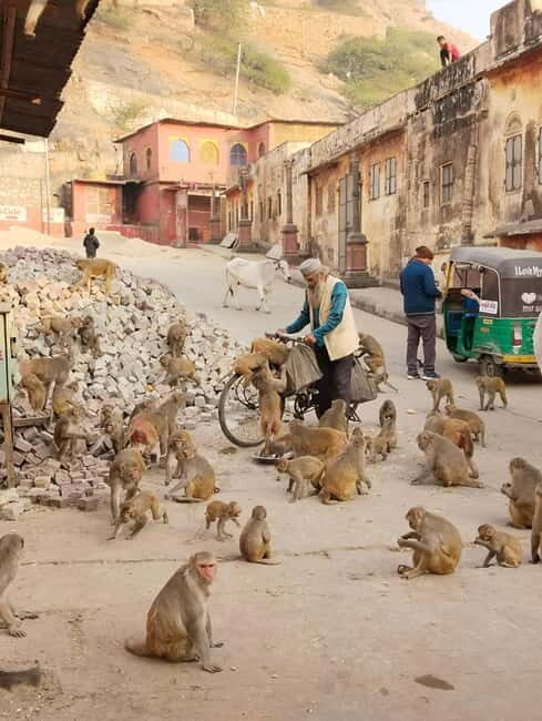 Discover Jaipur - A Detailed Breakdown of the Tour