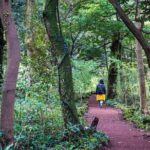 Discover Jeju in 3days: A Curated All-Inclusive Experience - Day 3: Farewell to Jeju