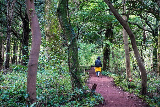 Discover Jeju in 3days: A Curated All-Inclusive Experience - Day 3: Farewell to Jeju