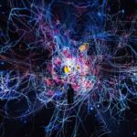 Discover Kyoto TeamLab Biovortex Experience - The Experience: What to Expect