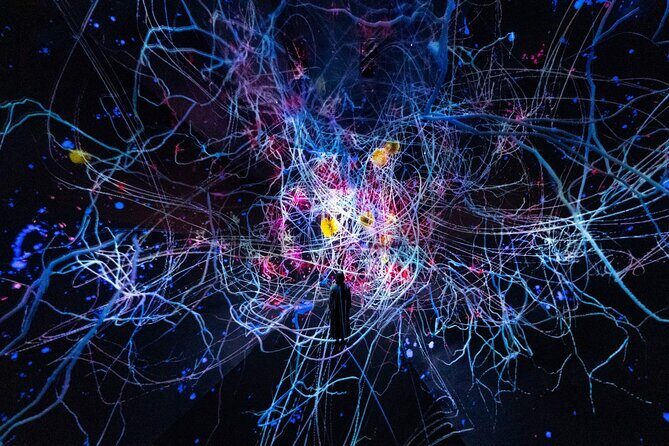 Discover Kyoto TeamLab Biovortex Experience - The Experience: What to Expect
