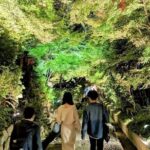 Discover Kyotos Most Magical Night - What’s Included and Why It Matters