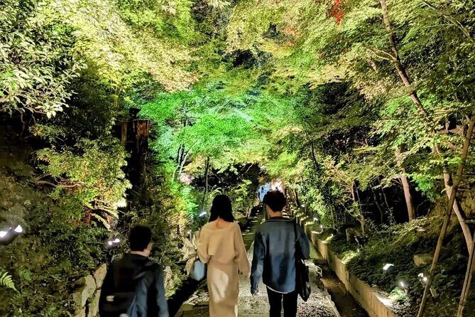 Discover Kyotos Most Magical Night - What’s Included and Why It Matters
