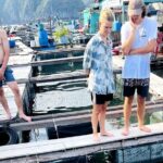 Discover Majestic Lan Ha Bay cruise 3 Days 2 Nights - Final Day: Return with Memories