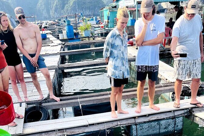 Discover Majestic Lan Ha Bay cruise 3 Days 2 Nights - Final Day: Return with Memories