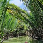 Discover Mekong Delta 3 Days with Boat trip to Phnom Penh option - Exploring the Mekong Delta in Depth