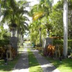 Discover Nevis, Island Tour (Private) - Who Is This Tour Best For?