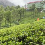 Discover Ooty in a Day  Gardens, Lake & Local Market - Exploring the Botanical Gardens