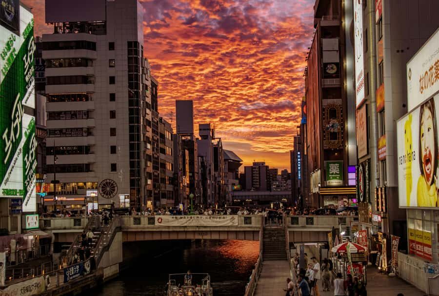 Discover Osaka: A Day of Castles, Culture & City Lights - Practical Details & Why They Matter