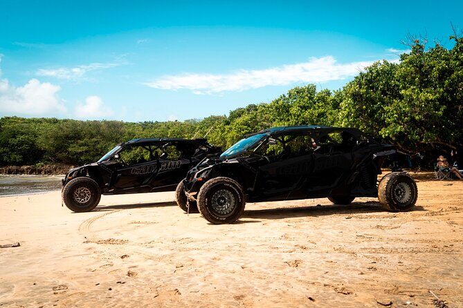 Discover Puerto Rico Like a Local 4 Hour Private Beach Escape - A Deep Dive into the Experience