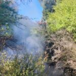 Discover Rotorua Guided Walking Tour of Hidden Gems - The Experience from a Traveler’s Perspective