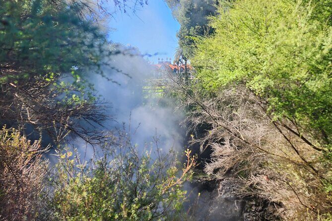 Discover Rotorua Guided Walking Tour of Hidden Gems - The Experience from a Traveler’s Perspective