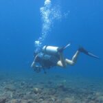 Discover Scuba Diving Day Trip in Amed and Tulamben - The Detailed Experience
