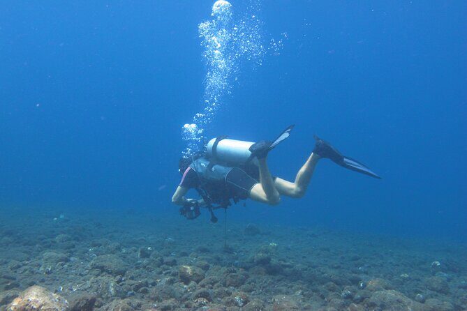 Discover Scuba Diving Day Trip in Amed and Tulamben - The Detailed Experience